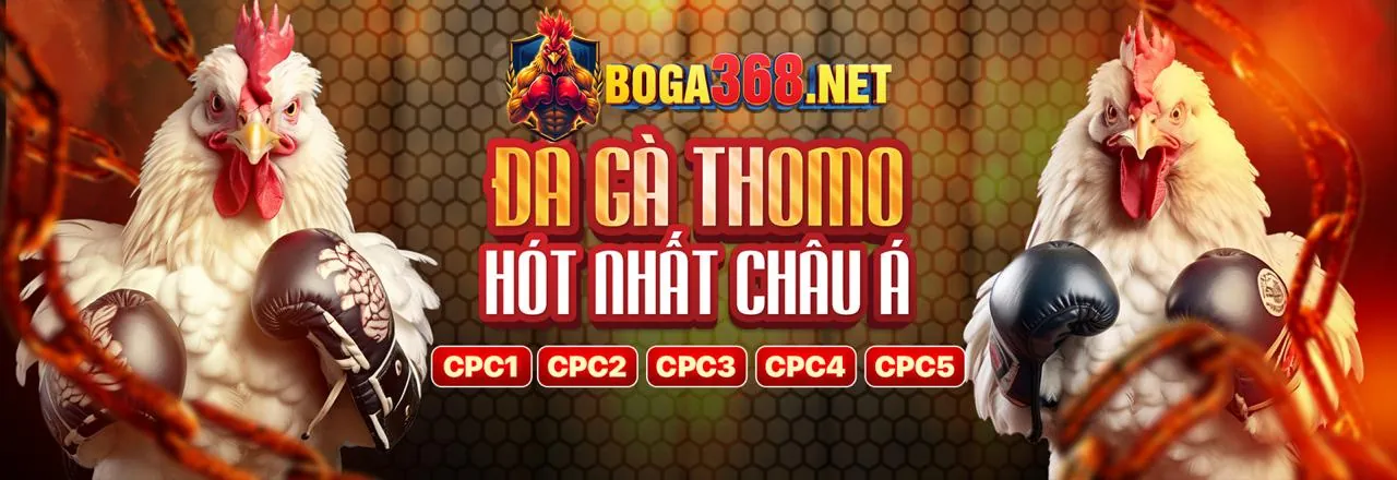 Trải nghiệm đá gà trực tuyến tại Lucky 8 Cổng Game Chính Thức
